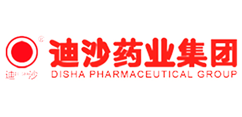 迪沙集团